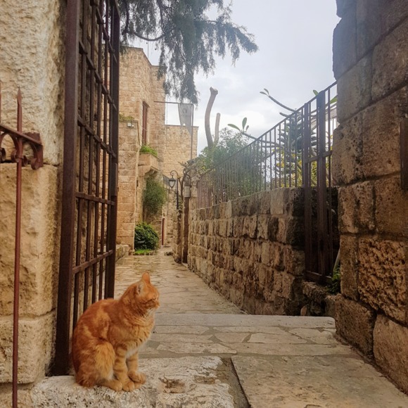 Meet your Posher, Karen - Picture 1 of 1